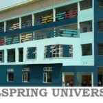 Wellspring University Post UTME form